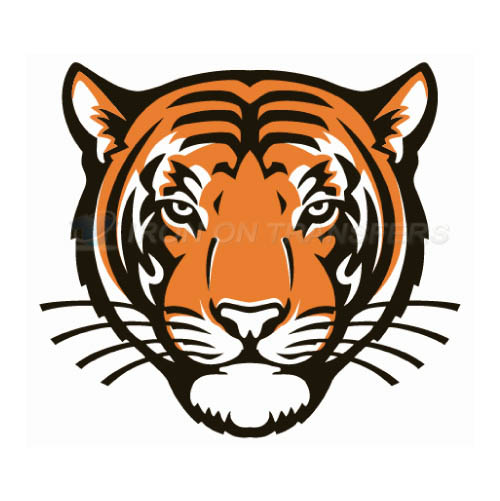 Princeton Tigers Iron-on Stickers (Heat Transfers)NO.5927